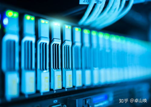 大学计算机教育vs补习班包就业 网络技术开发领域的选择困境